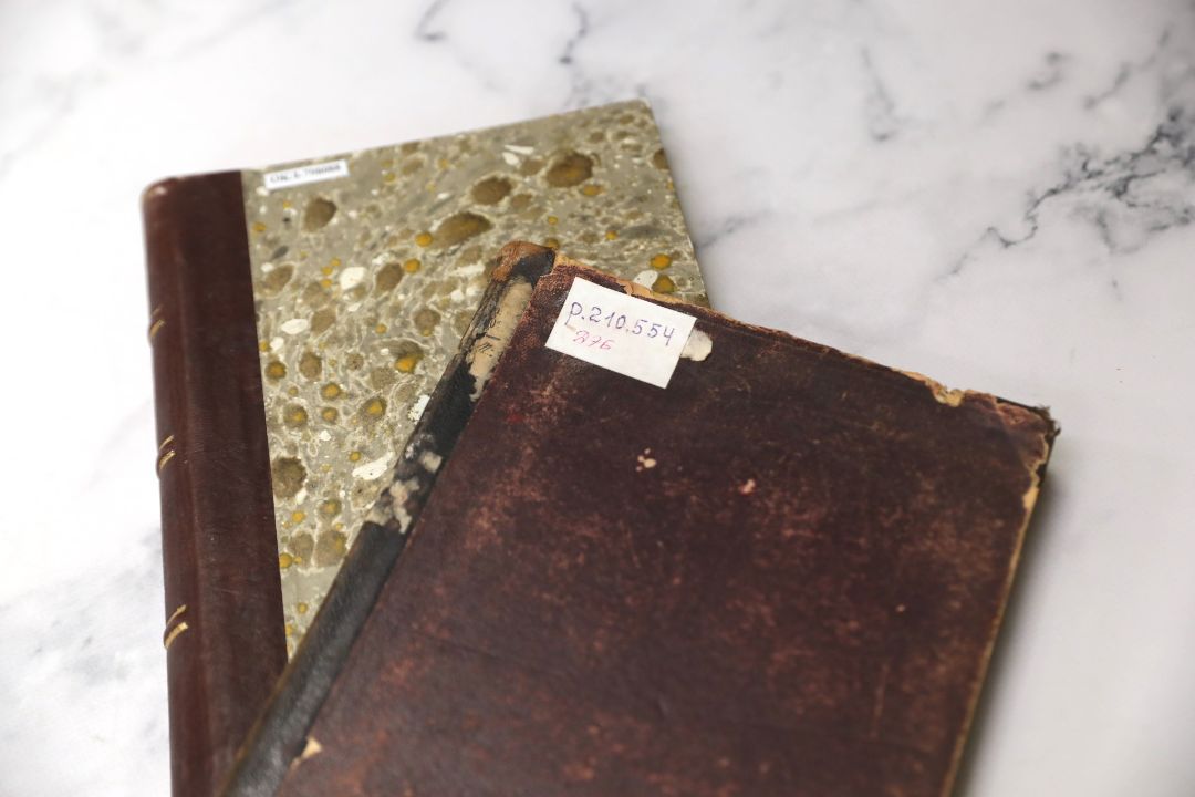 Дидро и Екатерина II : их беседы, напечатанные по собственноручным запискам Дидро / с пояснительным очерком и примечаниями Мориса Турнё ; в переводе К. К. Толстого. - Санкт-Петербург : Издание редакции "Нового журнала иностранной литературы", 1902. - 155 с., [1] л. фронт. (портр.) ; 25 см. ( инв. номер Р 210.554).