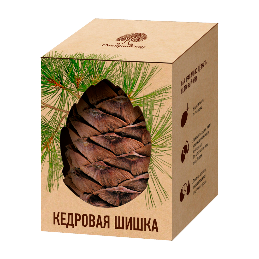 Кедровая шишка в вакууме, 1шт.
