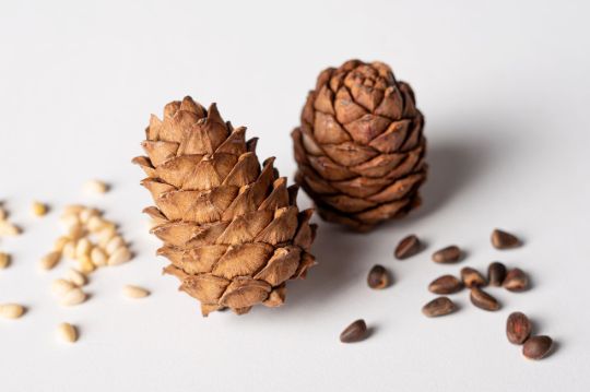 Партнёр национальной премии «Наш Вклад»