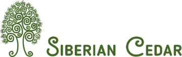 Сибирский кедр