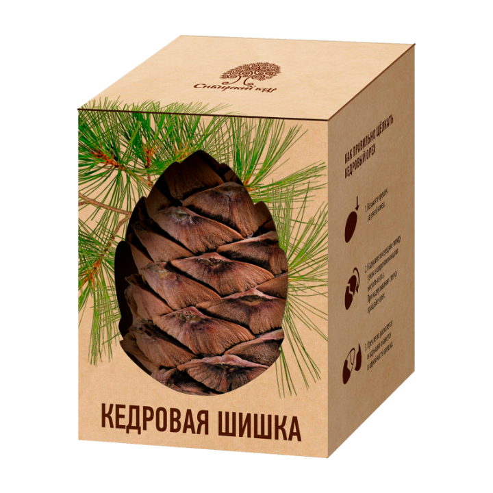 Кедровая шишка в вакууме, 1шт.