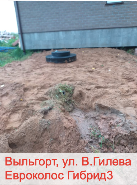 Сыктывкар, ул.Восточная, Евроколос Гибрид3
