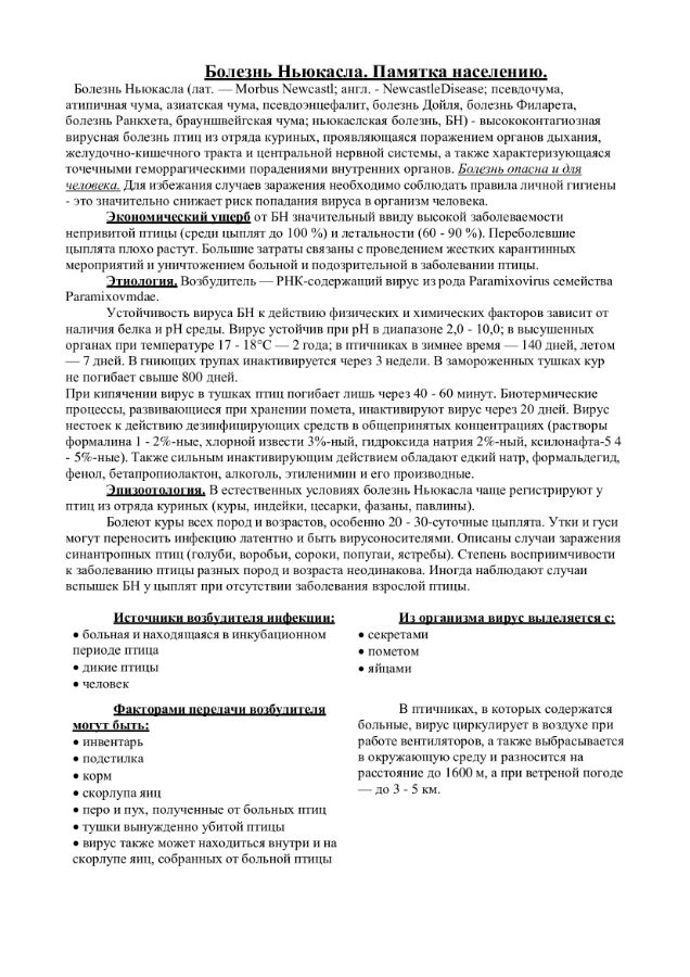 Памятка по болезни Ньюкасла