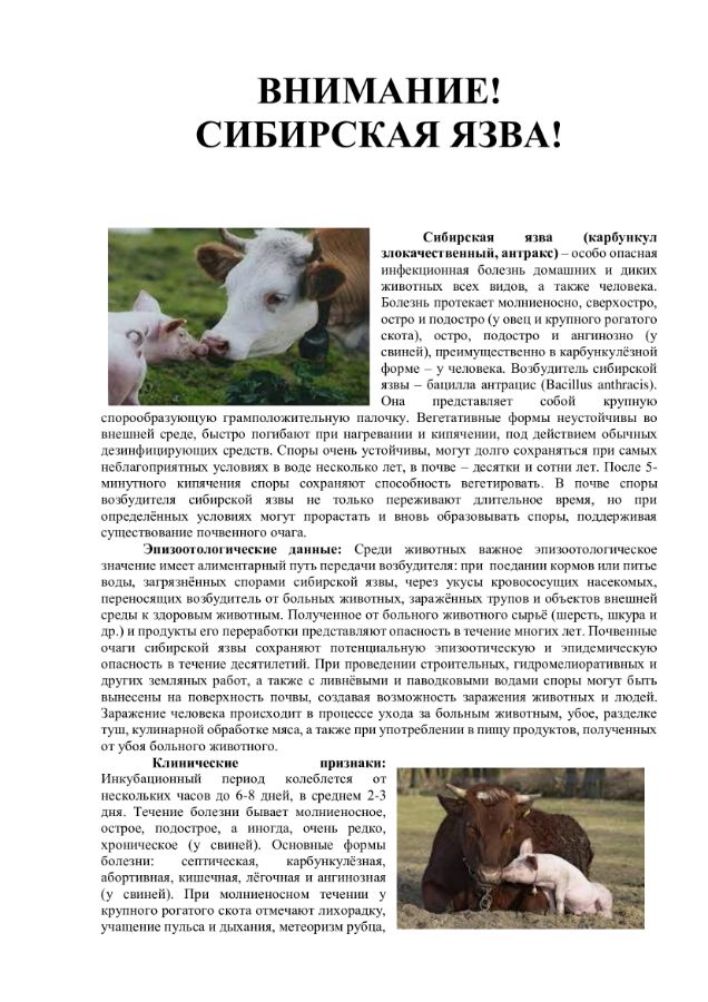 Памятка по сибирской язве