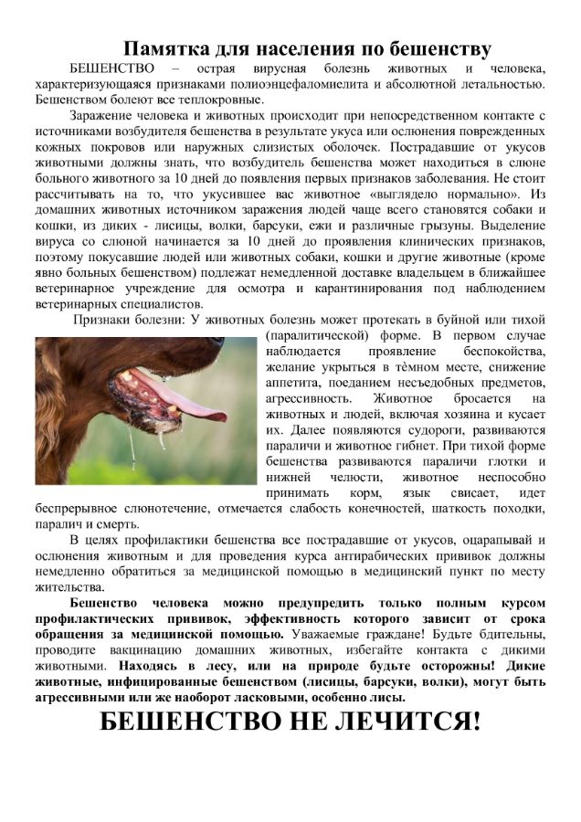 Памятка для населения по бешенству