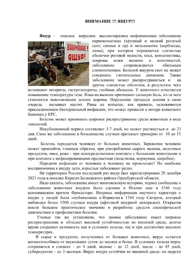 Памятка для населения по ящуру