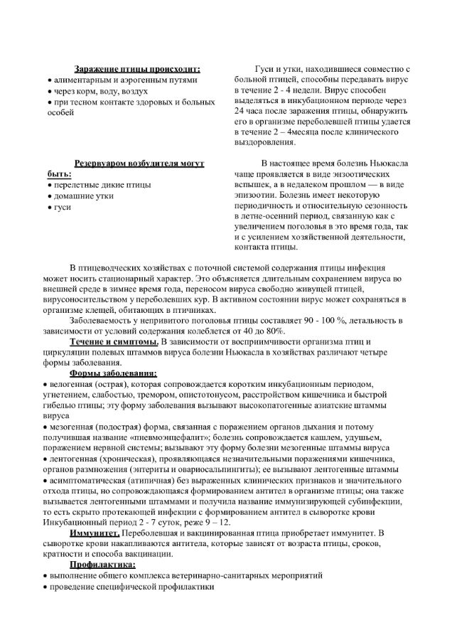 Памятка по болезни Ньюкасла