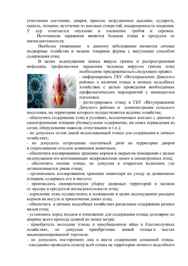 Памятка грипп птиц