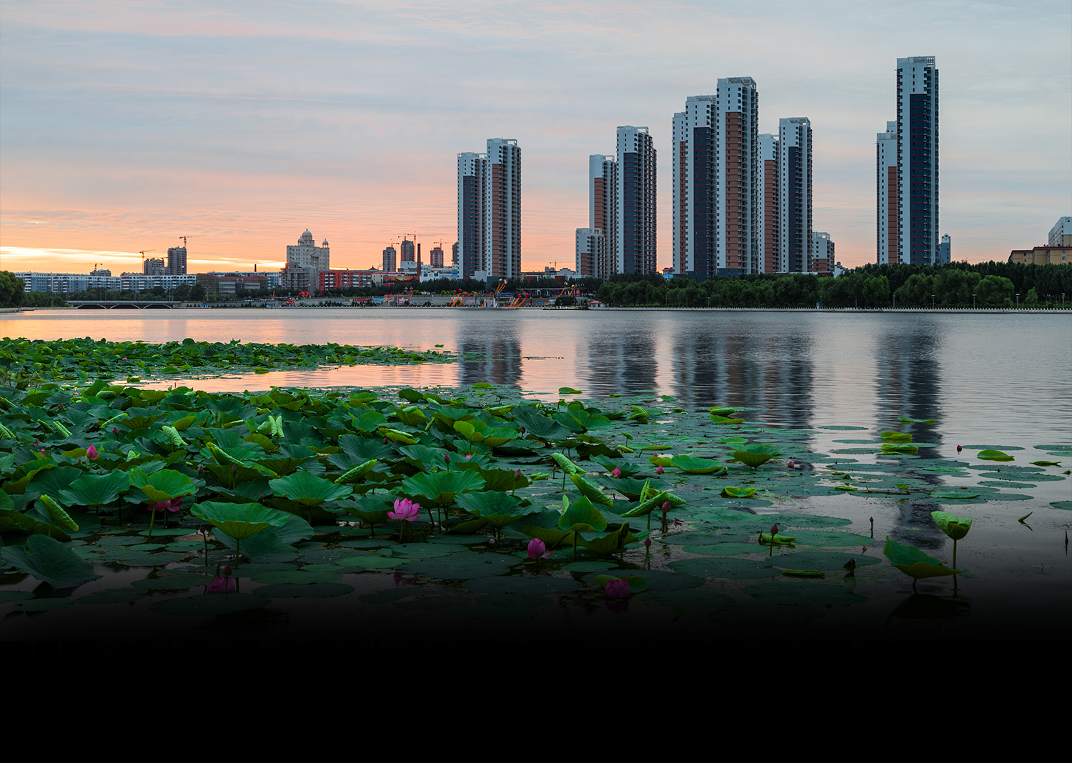 Цицикар Витязь-тур