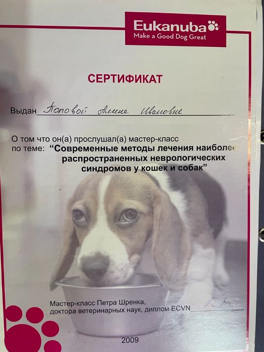 Современные методы лечения наиболее распространенных неврологических синдромов у кошек и собак