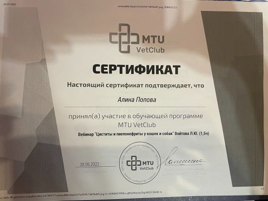 Циститы и пиелонефриты у кошек и собак
