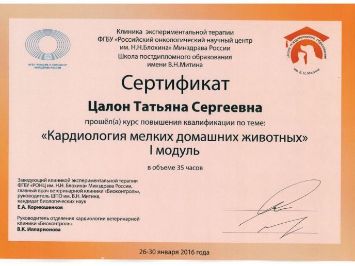 Сертификаты врачей ветеринарной службы ДИНГО
