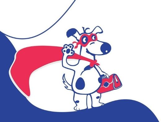 Услуги ветеринара на дому в Москве - Приятные цены! Ветслужба Динго