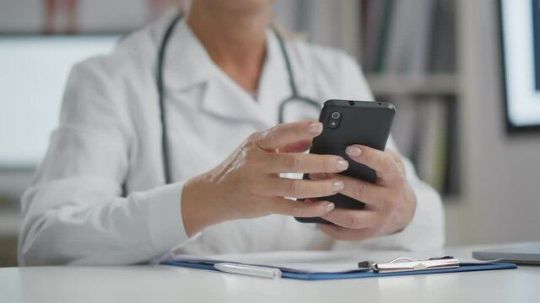 Консультация ветеринара ДИНГО онлайн от 1000 рублей +7 (495) 767-13-10