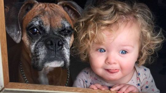 Старость в радость - публикации Ветеринарной службы ДИНГО