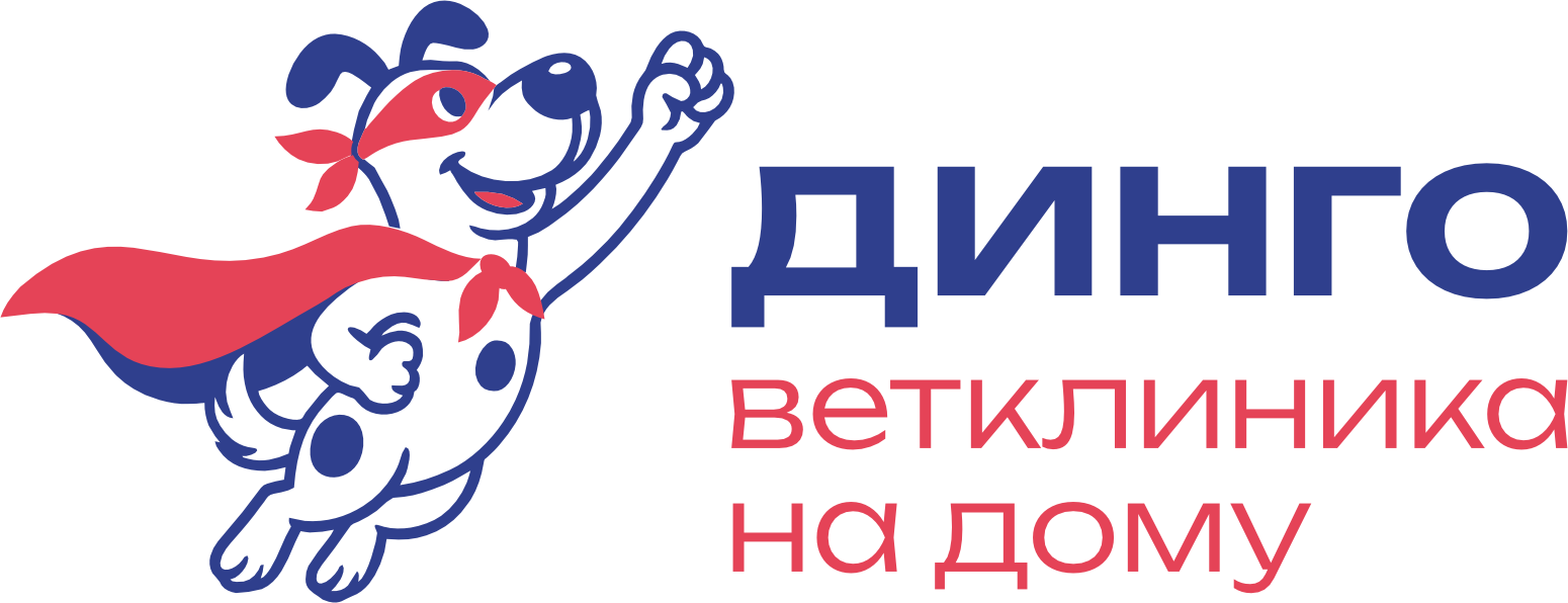 Динго Ветклиника на дому