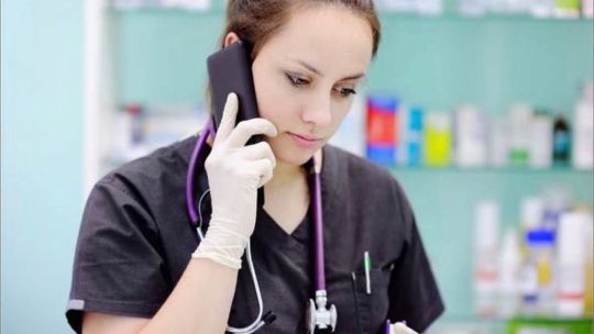 Консультация ветеринара ДИНГО онлайн от 1000 рублей