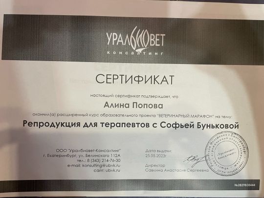 Репродукция для терапевтов