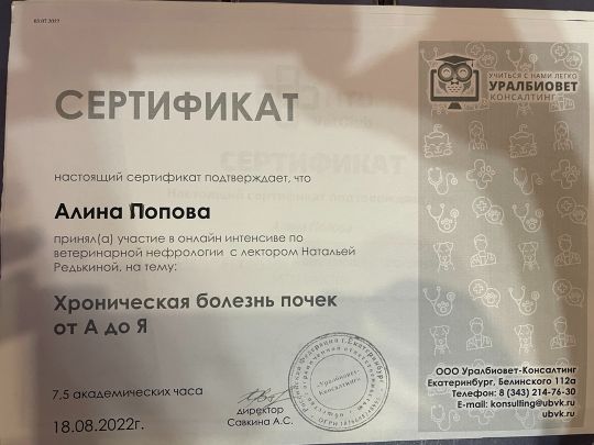 Хроническая болезнь почек