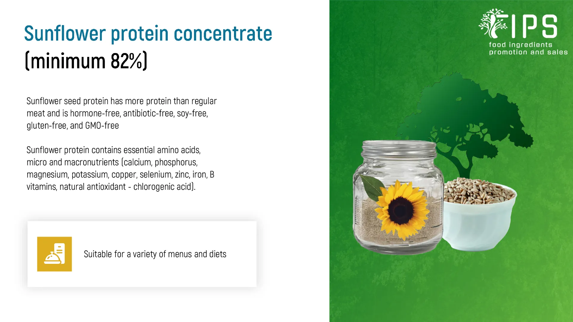 Sunflower protein