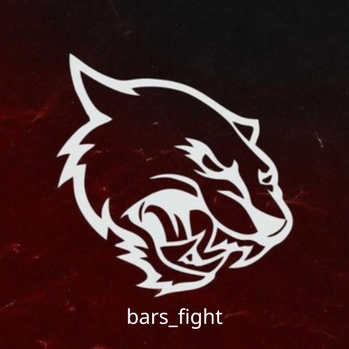 bars_fight