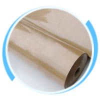 Плёнкоэлектрокартон