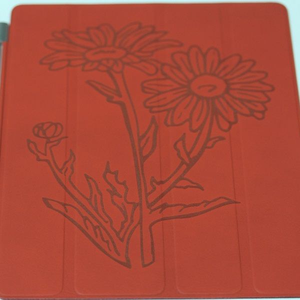 Лазерная гравировка кожи