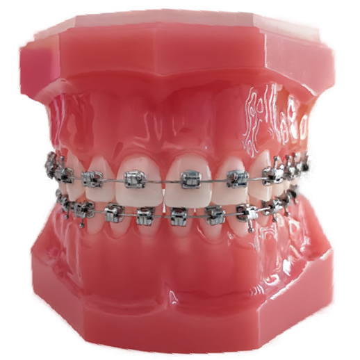 Сегмент: стандарт