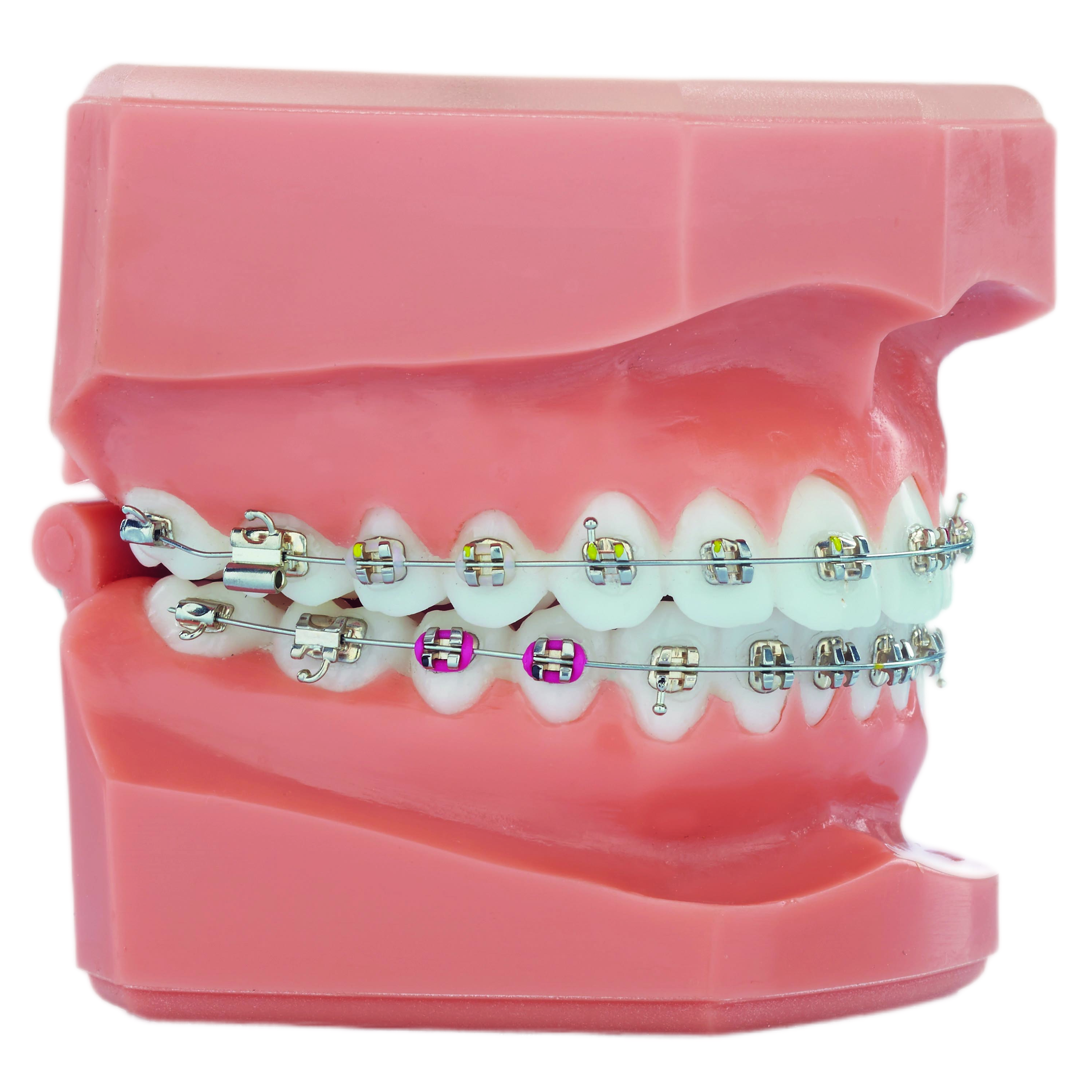 Сегмент: эконом