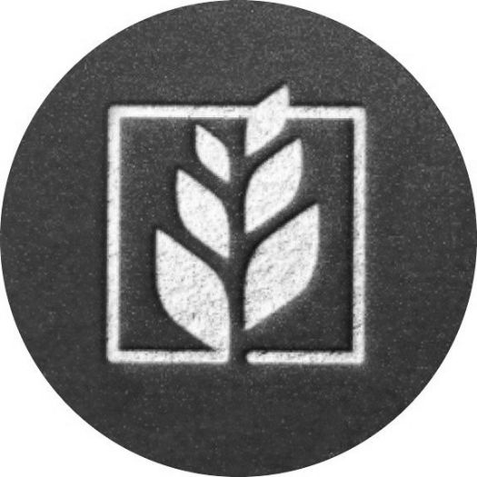 Чистополье