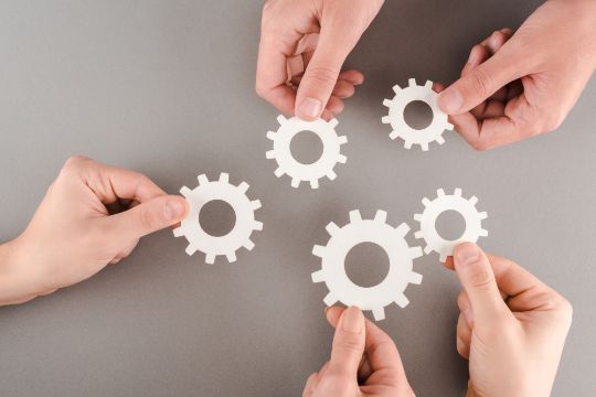 тренинг менеджмент