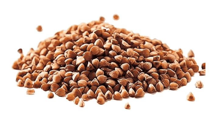 гречневая крупа оптом