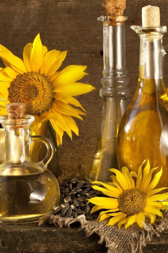 Оптовая торговля подсолнечным маслом в Узбекистане