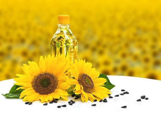 Оптовая торговля подсолнечным маслом в Узбекистане