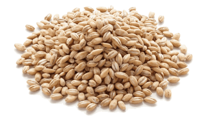 ячменная перловая крупа оптом