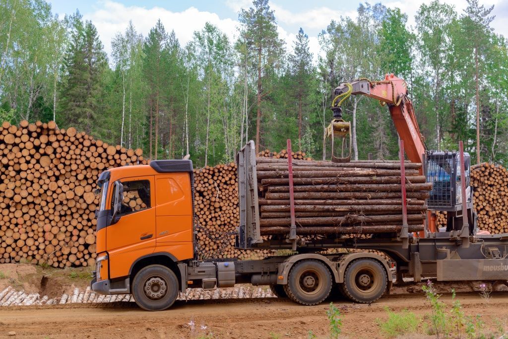 Лесозаготовка СЛПК