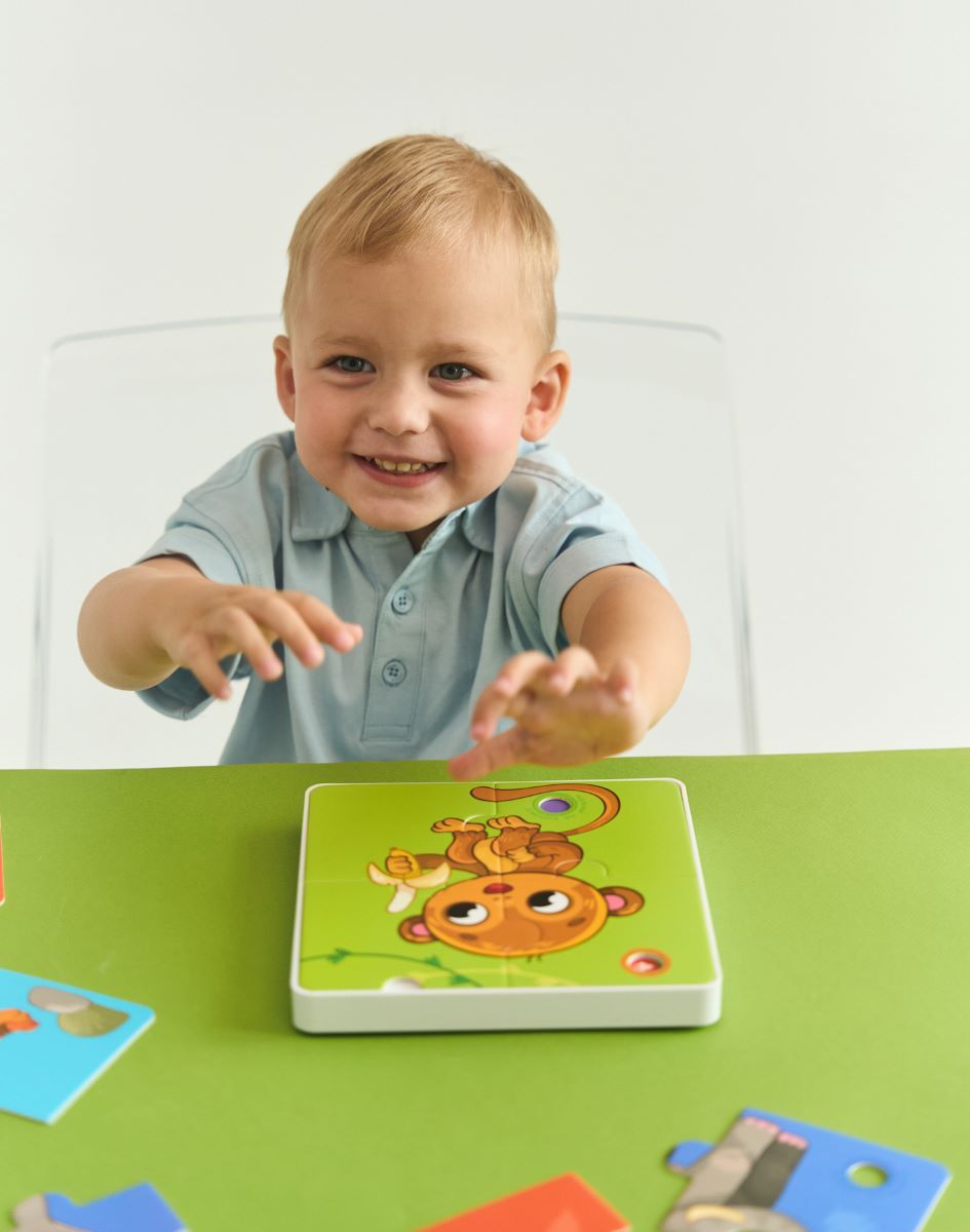 Игрушки BertToys