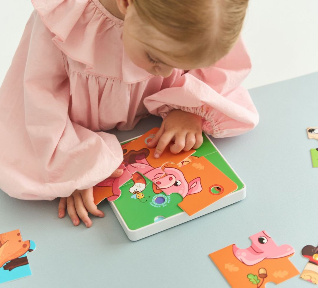 Игрушки BertToys