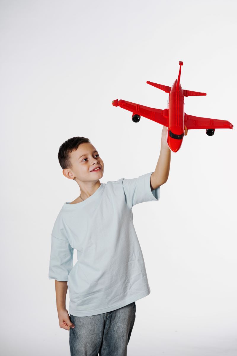 Российский бренд «РУБРИК» представил проект «Самая большая страна», который воспроизводит в конструкторах всё из чего собрана страна