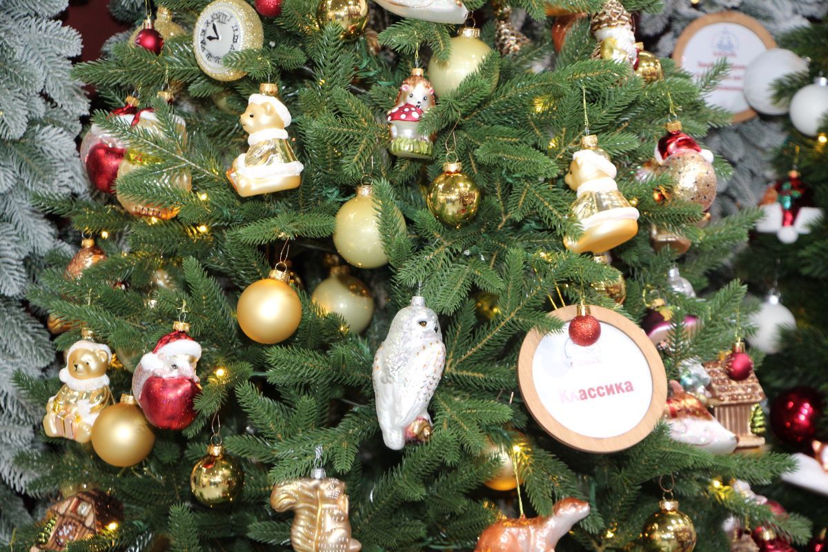 Выставки «Игрушка Маркет» и ChristmasBox Podarki 2026: большой фоторепортаж КИНДЕРinfo