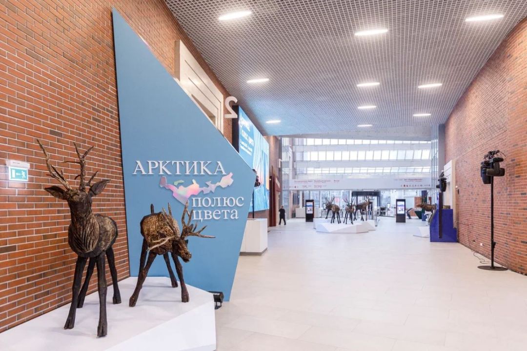 выставочный проект «Арктика. Полюс цвета» 