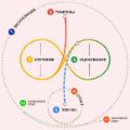 Пришла «Запутанная середина». Ее суть по версии Google 