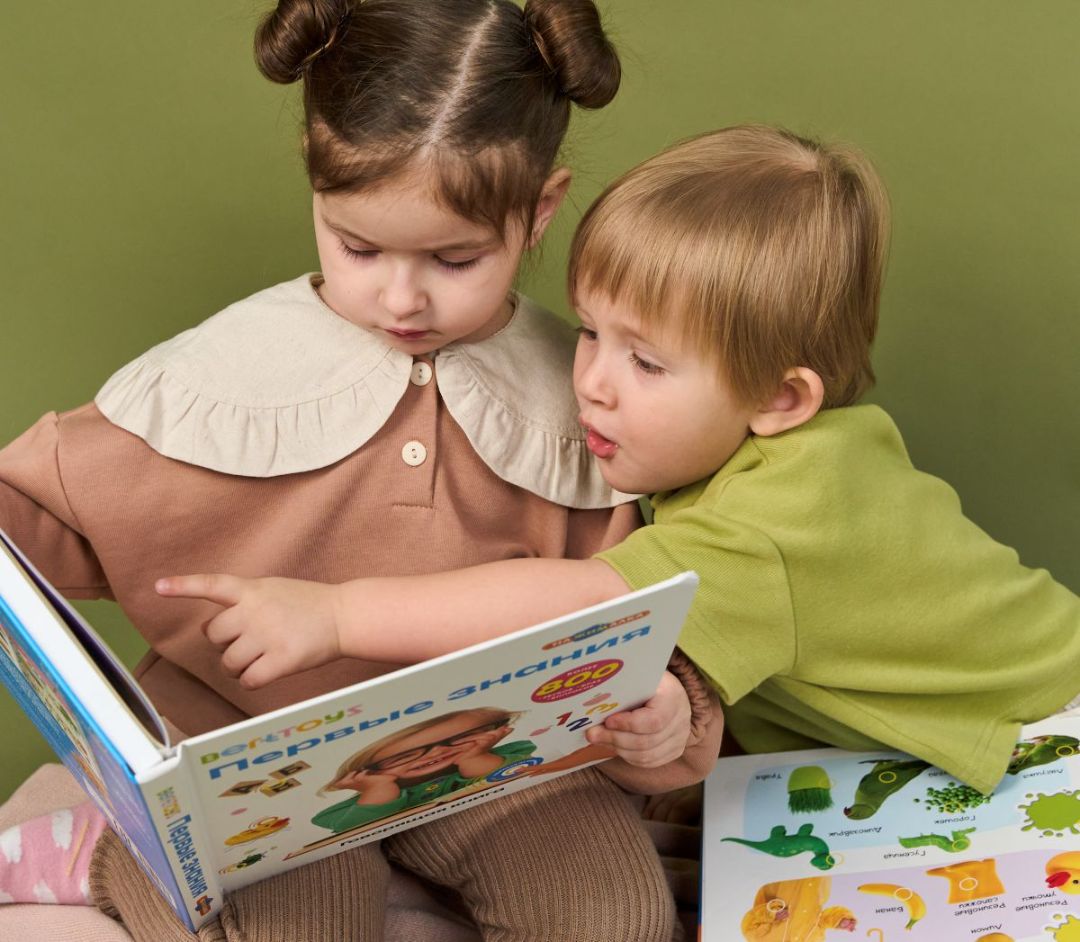 Игрушки BertToys
