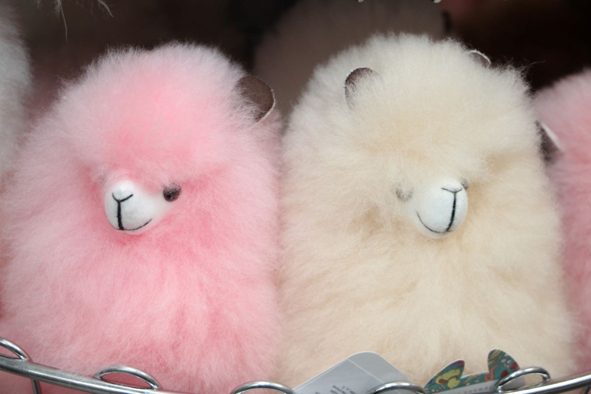 Выставки «Игрушка Маркет» и ChristmasBox Podarki 2026: фоторепортаж КИНДЕРinfo