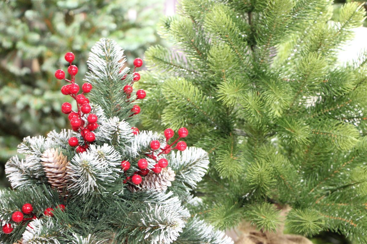 Выставки «Игрушка Маркет» и ChristmasBox Podarki 2026: фоторепортаж КИНДЕРinfo