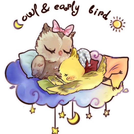 Owl&EarlyBird