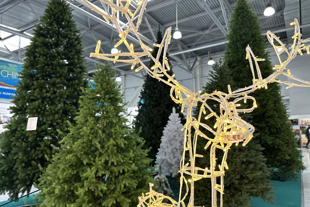 Выставки «Игрушка Маркет» и ChristmasBox Podarki 2026: фоторепортаж КИНДЕРinfo