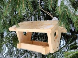 День зимующих птиц