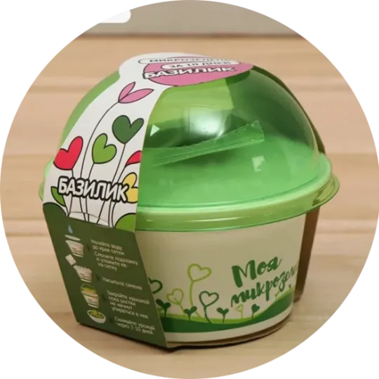 Картонная упаковка