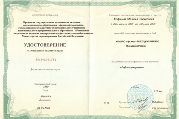 реабилитационная медицина Елфимов Михаил Алексеевич